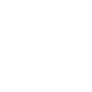 Ornament 11(1234)